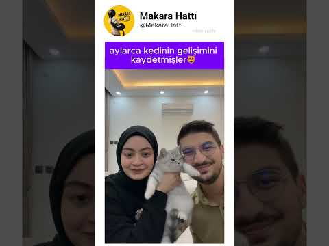 kedi büyüyene kadar video çekmişler❤️