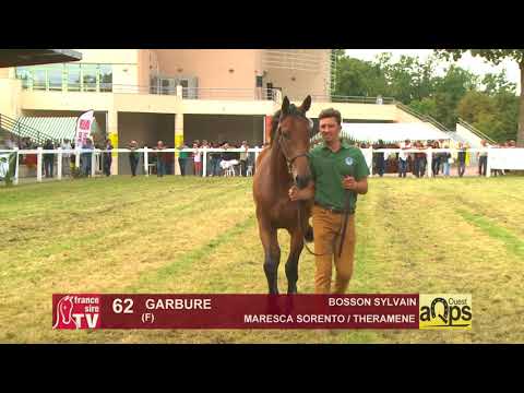 Show AQPS 2018 Lot 62 - GARBURE