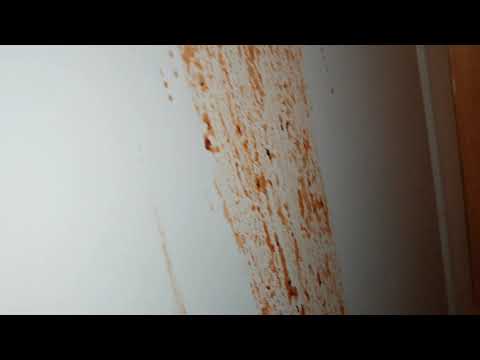 Pikkusen rupesin imuroimaan