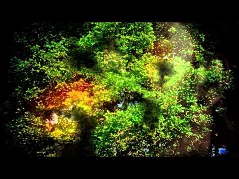 Herbert Quinteros Icaro AYARUNAS