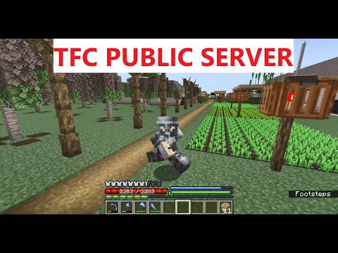 Terrafirmacraft Public Server