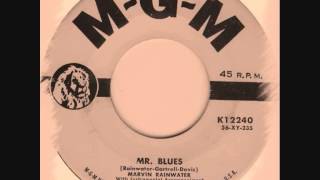 Marvin Rainwater - Mr  Blues