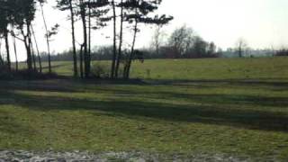 preview picture of video 'Kellenhusen Discgolf Long Distance'