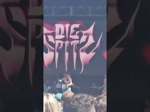 Die Spitz – Voller Auftritt (Live bei KEXP)