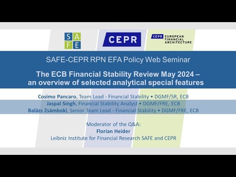 SAFE-CEPR RPN EFA Policy Web Seminar: The ECB Financial Stability Review May 2024
