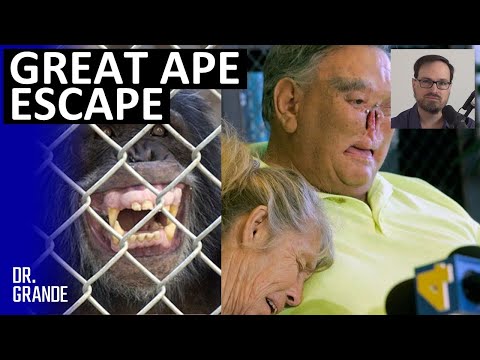 Chimpanzee Attachment Leads to Nose and Genital Removal | St. James & LaDonna Davis Case Analysis