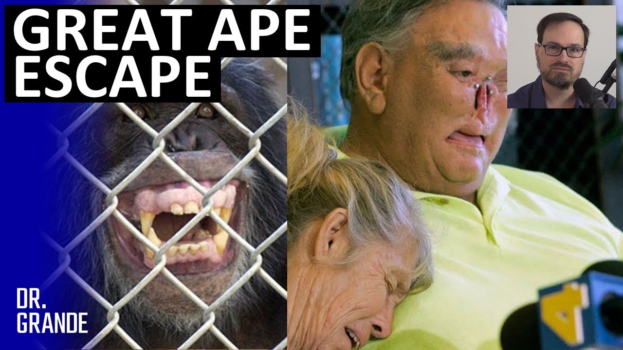 Chimpanzee Attachment Leads to Nose and Genital Removal | St. James & LaDonna Davis Case Analysis