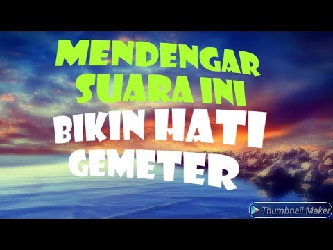 Siapapun Dia KALAU MENDENGAR SUARA INI   !!!!!!  Pasti MERINDING