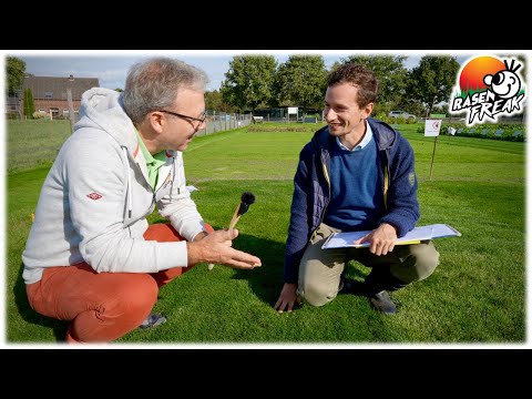 FACHSIMPELN über GRÄSER: Besondere Sorten und Arten auf dem Rasen Versuchsfeld von Fa. FREUDENBERGER