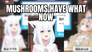 VTubers Lose It When They Learn Eringi Mushroom's Flower Language Is "Universe" | Shirakami Fubuki