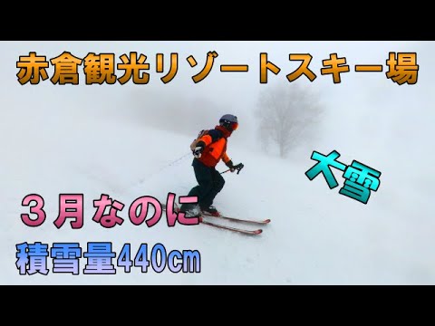 2021～2022年シーズン/大雪の赤倉観光リゾートスキー場に行ってきました。３月なのにまだまだ雪はいっぱいありますよ。積雪量440㎝