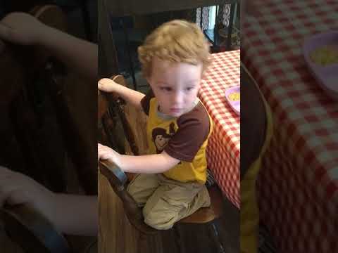 download lagu mp3 mp4 Trim Healthy Mama Meatloaf Recipe, download lagu Trim Healthy Mama Meatloaf Recipe gratis, unduh video klip Trim Healthy Mama Meatloaf Recipe