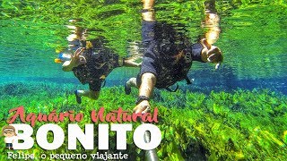 preview picture of video 'Felipe, o pequeno viajante - Flutuação no Aquário Natural, Bonito - MS.'