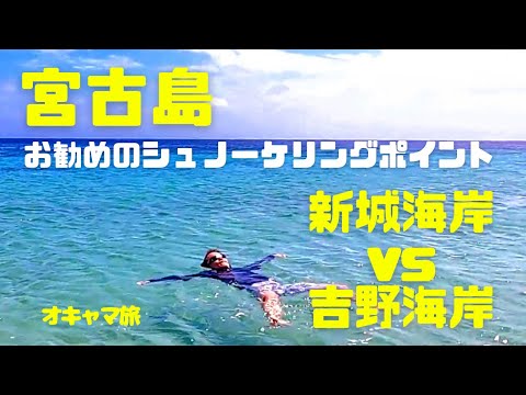 [Viagem a Miyakojima] O que é recomendado: costa de Shinshiro ou costa de Yoshino? Compare os dois principais pontos de mergulho com snorkel 🌟