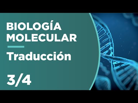 RNA TRANSLATION | Molecular Biology 3/4