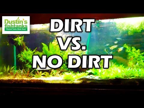 Planted Aquarium Substrate: Dirt VS No dirt. 4 months old