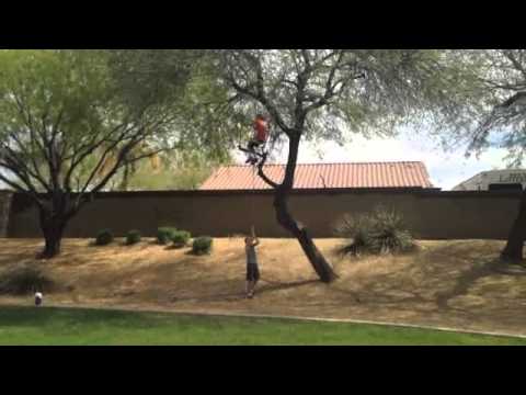 Extreme Tree Climbing!