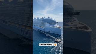 Would you go on Icon of the Seas? 🛳️😍#iconoftheseas #royalcaribbean #cruise #travel #miami