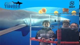 DIA 2 Expo Tiburon58