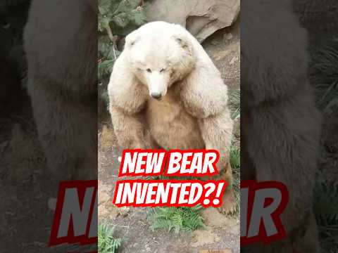 NATURE Decided to INVENT a NEW BEAR 🐻❄️