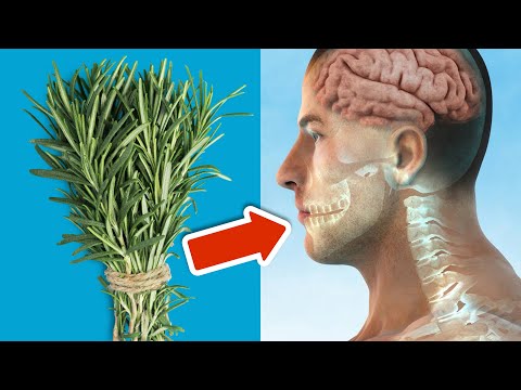 Du glaubst NICHT was passiert, wenn du täglich Rosmarin isst 💥 (UNGLAUBLICH) 🤯