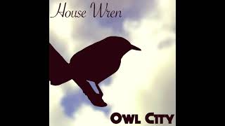 house wren - owl city (slowed + reverb)