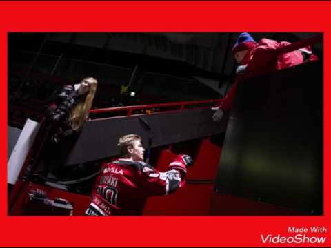 Pori Ässät maalibiisi 15-16