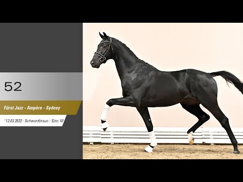 52 Hengst v Fürst Jazz - Ampère