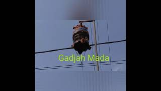 Download lagu Perkutut Juara. Legenda Indonesia. Gadjah Mada. Ring : TP Surabaya. Ngetop Tahun 2010 dan 2011 mp3 Download lagu Perkutut Juara. Legenda Indonesia. Gadjah Mada. Ring : TP Surabaya. Ngetop Tahun 2010 dan 2011 mp3