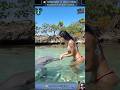 17 RARE Animal Clips You MUST See WILD ZOOM Animals Animalshorts Animalclips Wildlife