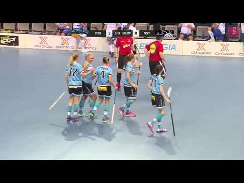 Näin syntyi naisten Salibandyliigan 2018-2019 avausmaali