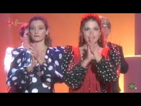 Bulerías. Peña flamenca La Perla de Cádiz. 1995