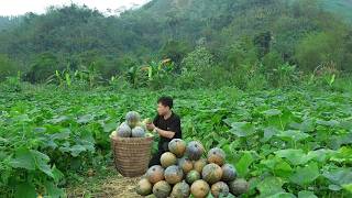 A day in Egan's life: Harvesting pumpkins and cooking delicious stuffed pumpkin dishes.
