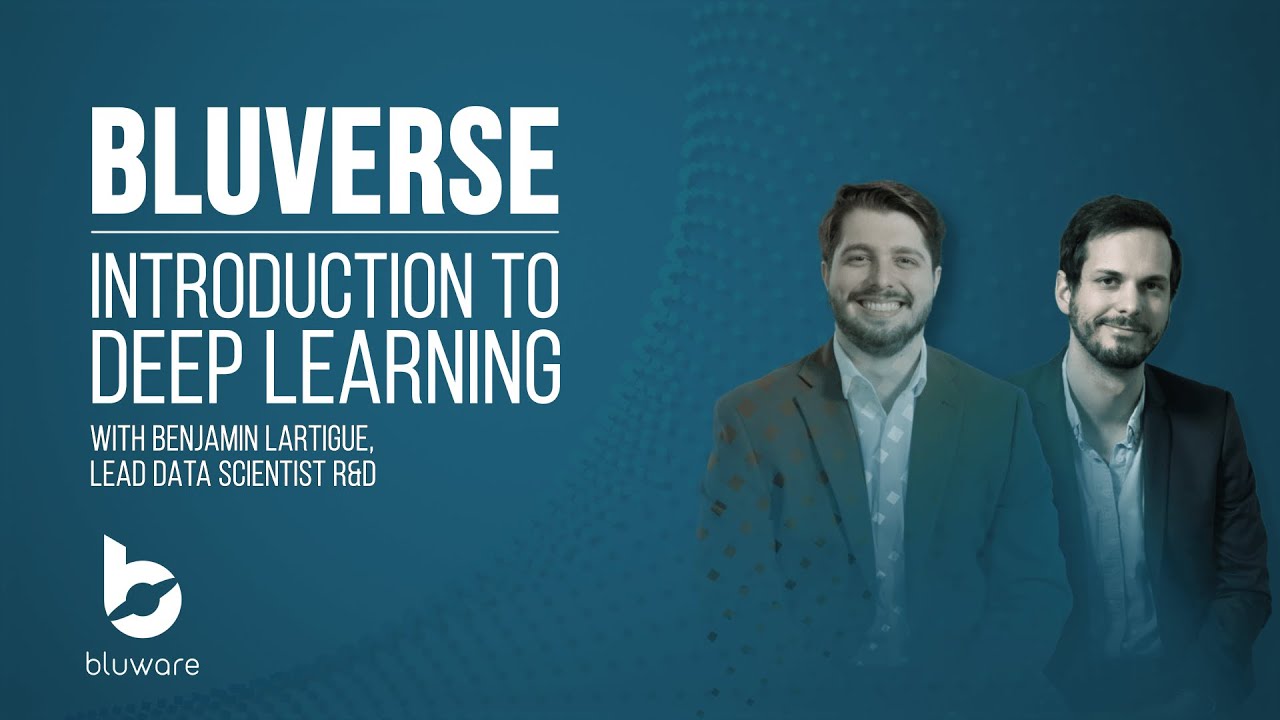 Bluverse: Introduction to Deep Learning