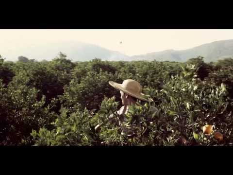 Lotto :: Africa Millions