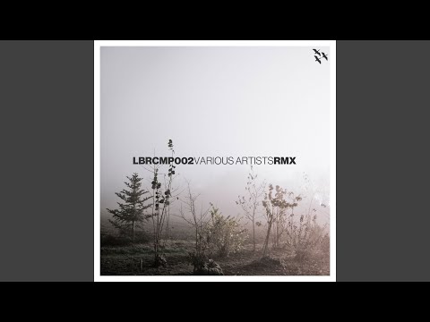 Harmonics (Iorie Remix)