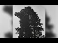 Chance Peña - Montana (Official Audio)