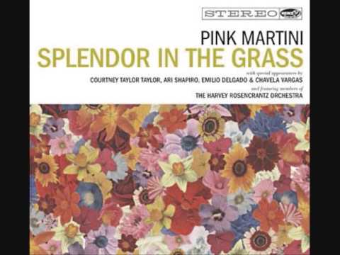 Pink Martini  And then you're gone (unofficial video)