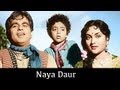 Naya Daur - 1957, 116/365 Bollywood Centenary Naya Daur - 1957, 116/365 Bollywood Centenary