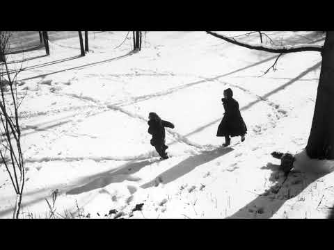 Sophia Ammann - Walking in the Air (live)