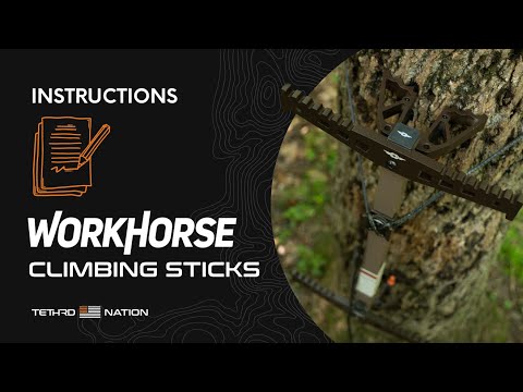 Workhorse Video 1