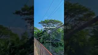 Download lagu setori wa estetik (info pusat)panggah jalor langit mp3 Download lagu setori wa estetik (info pusat)panggah jalor langit mp3