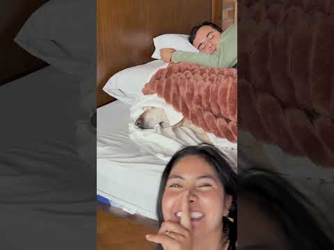 Me fui de su lado mientras mi esposo dormía 😂 #humor #comedia #morenitos #broma #coupleprank