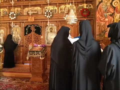 20190707 NICOLAE BALASOIU - DUMINICA A 3 A DUPA RUSALII – DESPRE GRIJILE VIETII