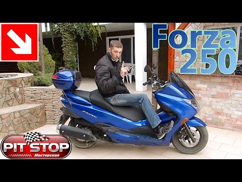 Honda Forza 250 2010 г.в. Моё мнение