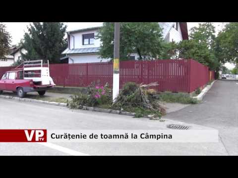 Curățenie de toamnă la Câmpina