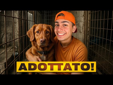 Ho ADOTTATO un CANE per TUTTO il Giorno...