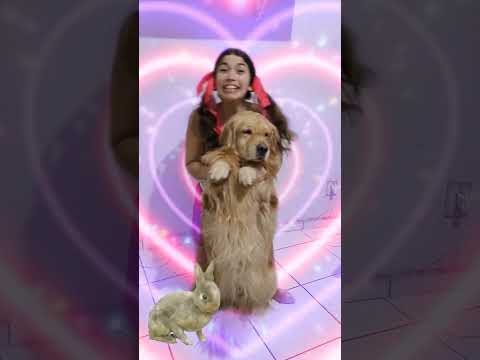 COELHINHO SE EU FOSSE COMO TU... 🐇 #shorts #comedia #mãe