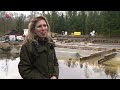 Sloten Waterloopbos weer schoon voor schaalmodellen en natuur