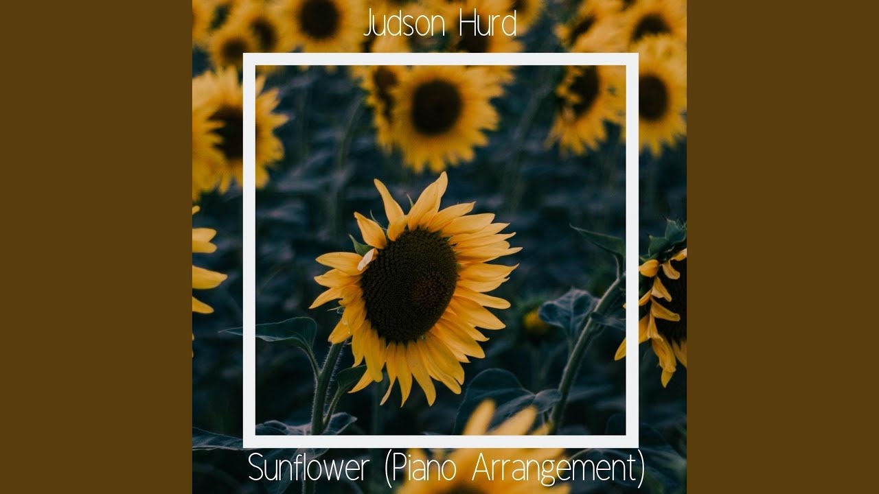 Promotional video thumbnail 2 for Judson Hurd